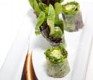 summer rolls with vegetable